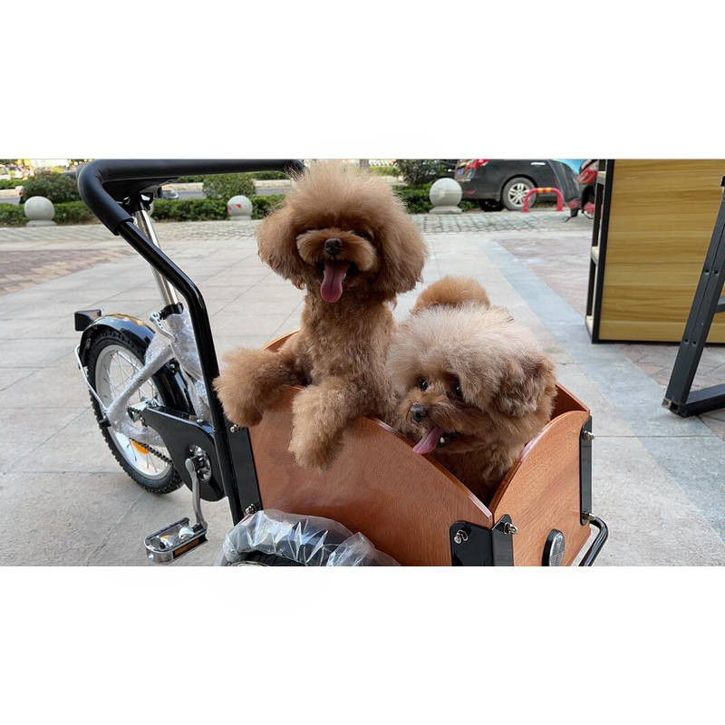 Front Box Cargo Bike For Kids  - Travel Accessories With Kids avis et prix