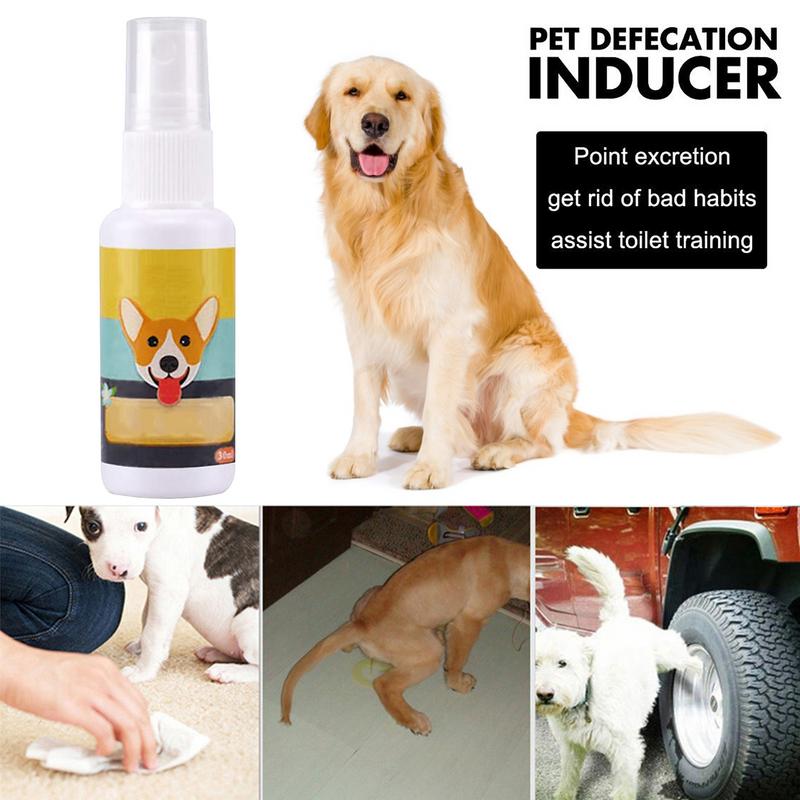 1PCS Dog Potty Train Spray Por - Travel Accessories In Train avis et prix