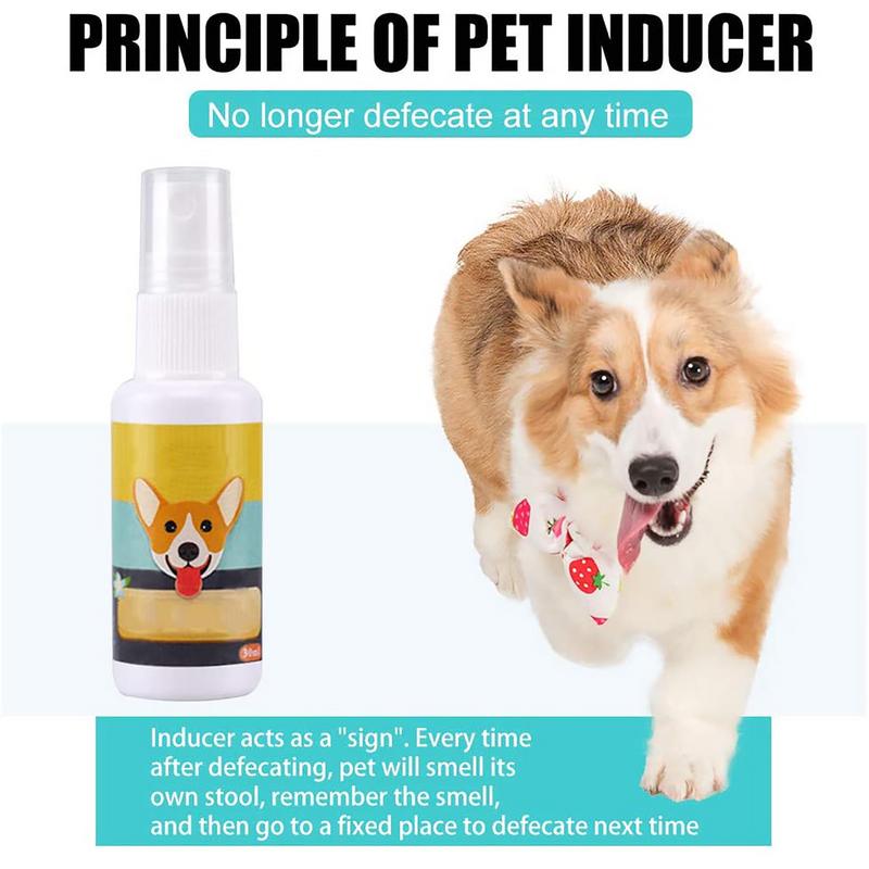 1PCS Dog Potty Train Spray Por - Travel Accessories In Train avis et prix